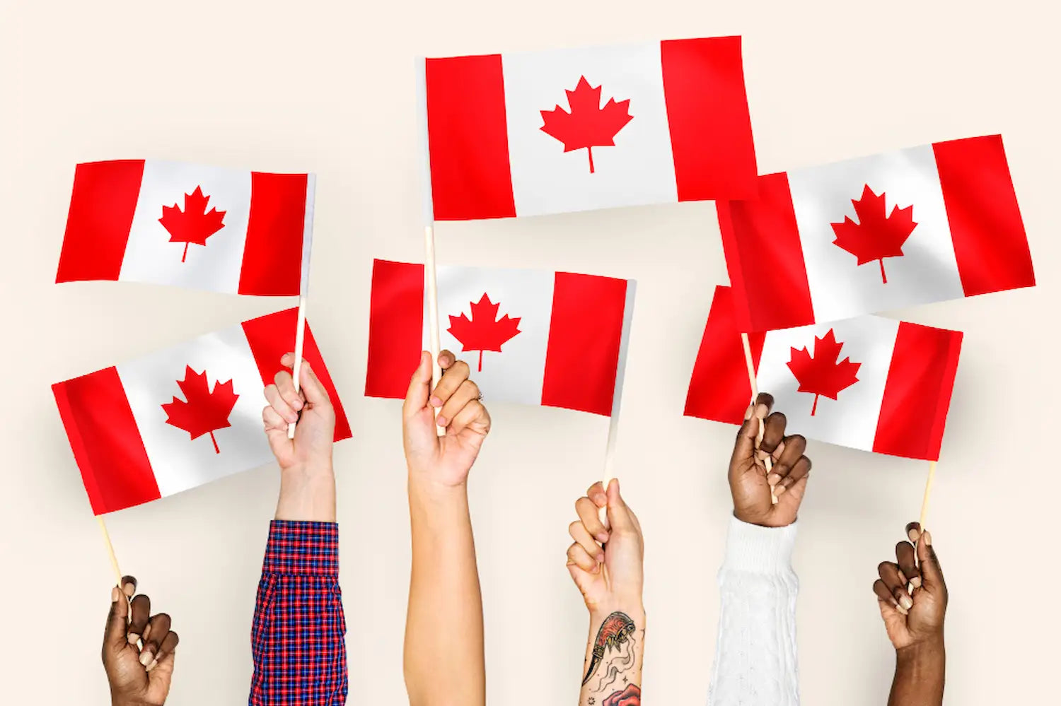 Bachelors in Canada