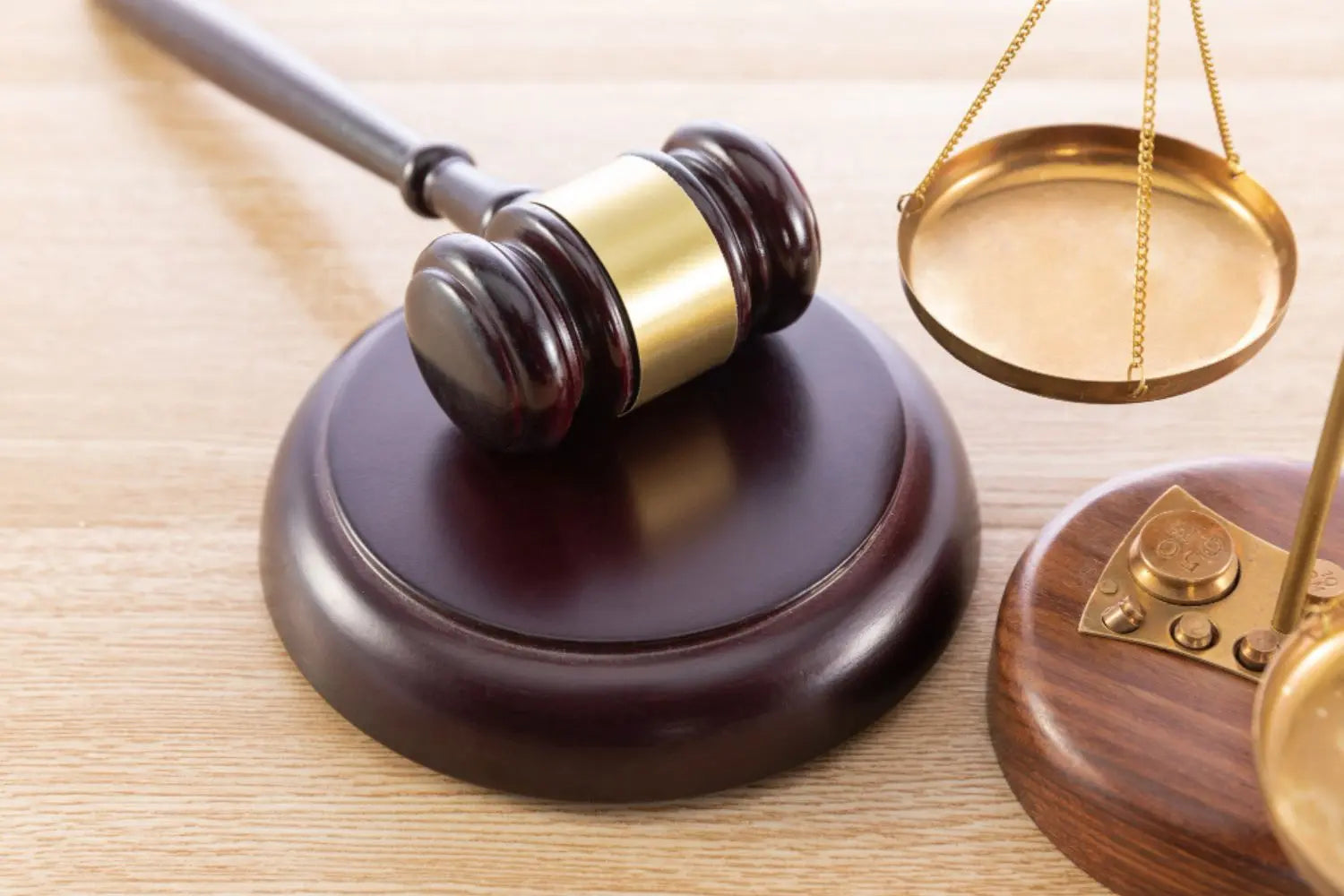 Best Universities For Law