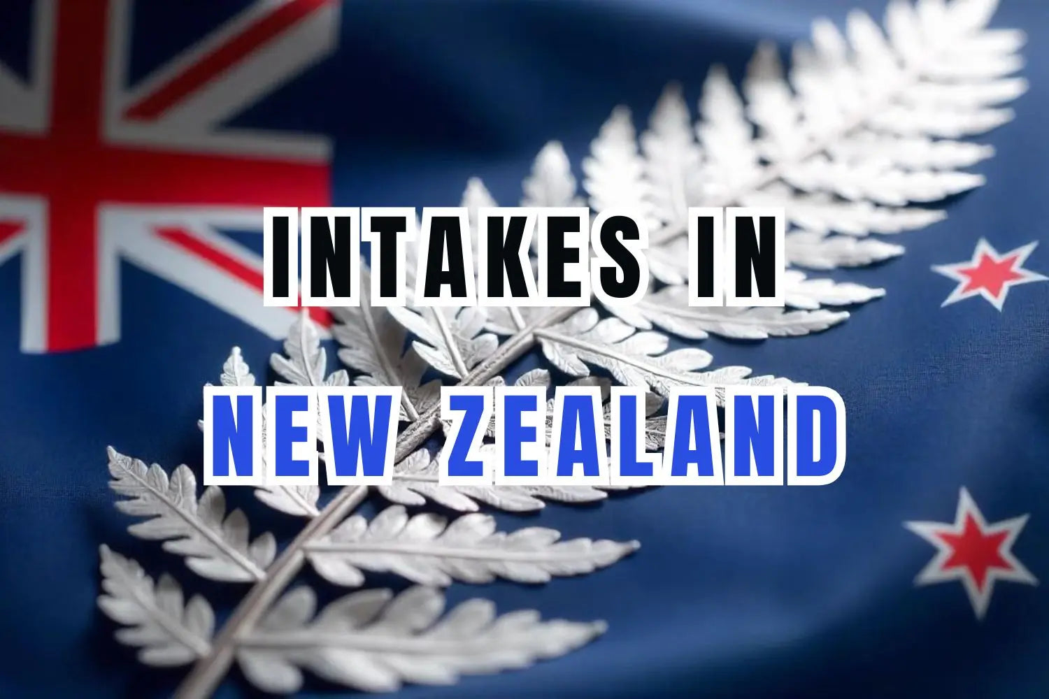 Intakes in New Zealand