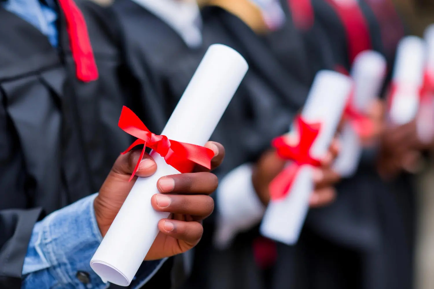 Bachelor Courses In New Zealand