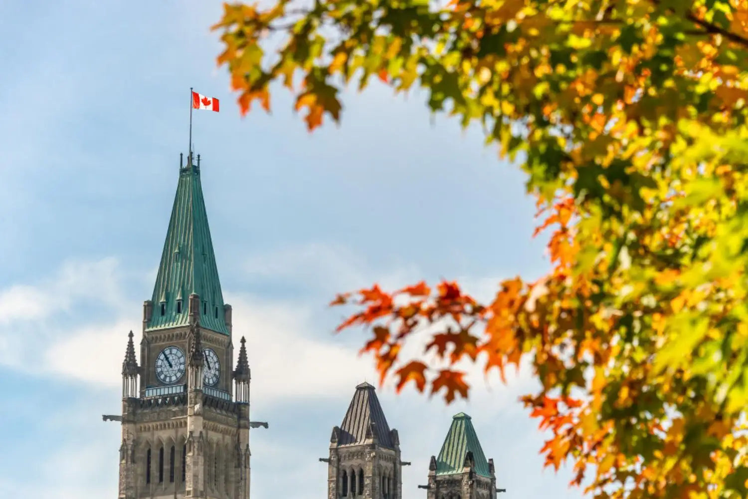 MS in Canada