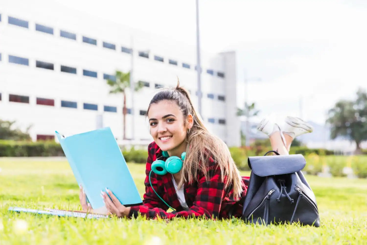 Mba In New Zealand