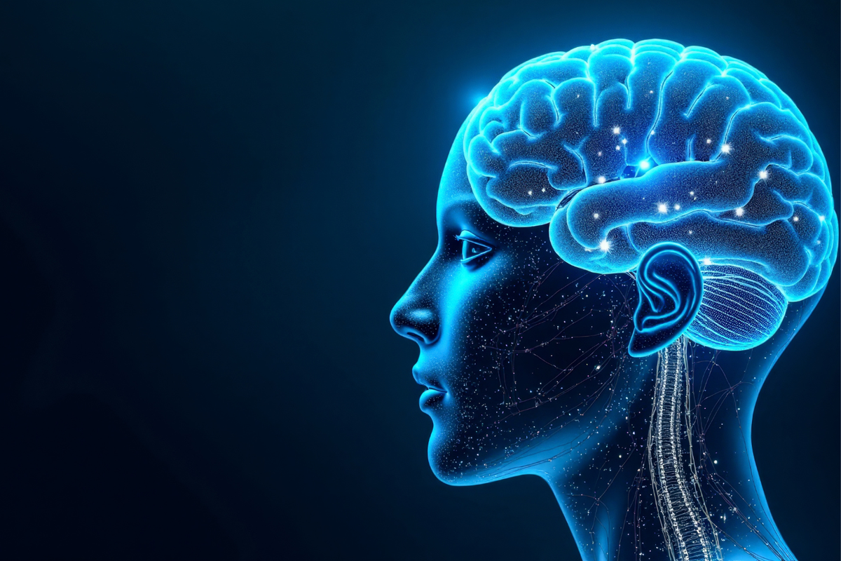 Best Country to Study Neuroscience